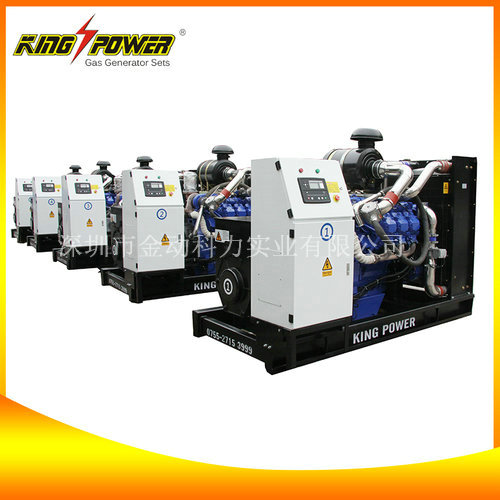 【頁巖氣發電機價格】價格永恒不變的話題！