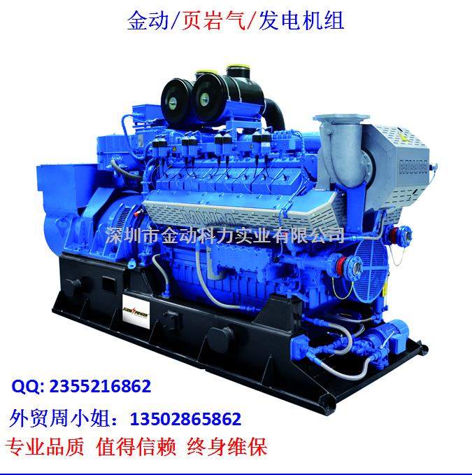 【深圳頁巖氣發電機】 發展趨勢無懈可擋！