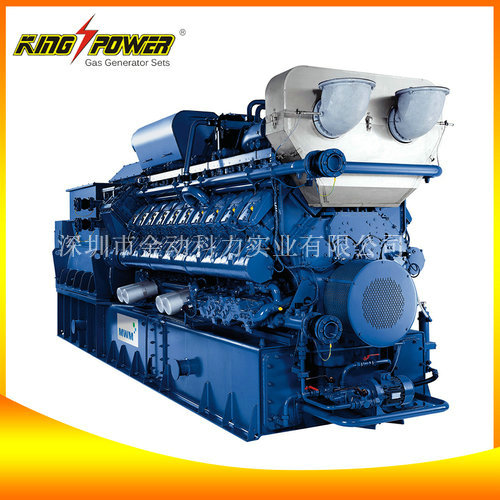 供應生物質氣發電機